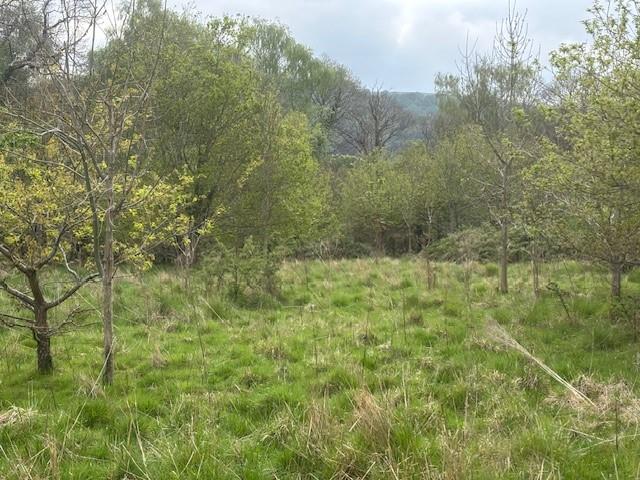 Approximately 4.639 acres of land, Llangenny nr Crickhowell